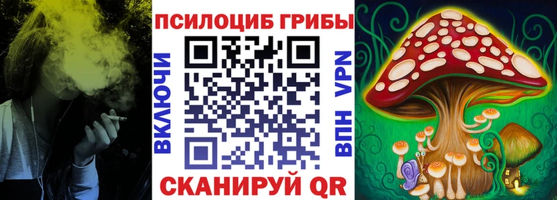 сколько стоит Касли Псилоцибиновые грибы GOLDEN TEACHER