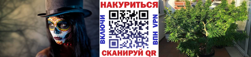 Конопля планчик  купить наркоту  Касли 